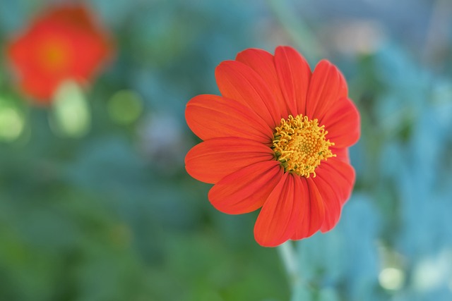 对于尤文图 对于尤文图