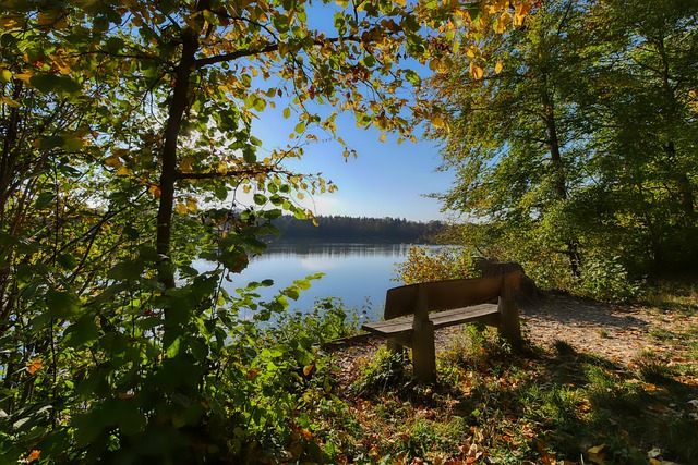 无疑是一个 无疑是一个