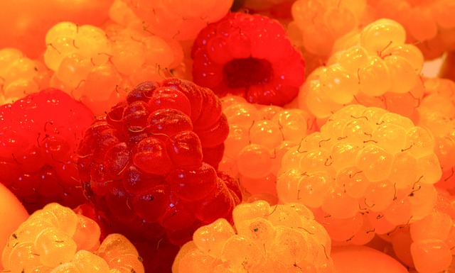 這一聲明充 這一聲明充