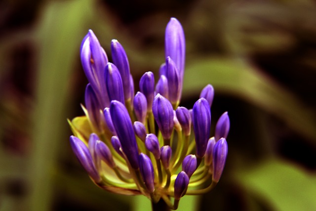 的改变都有 的改变都有