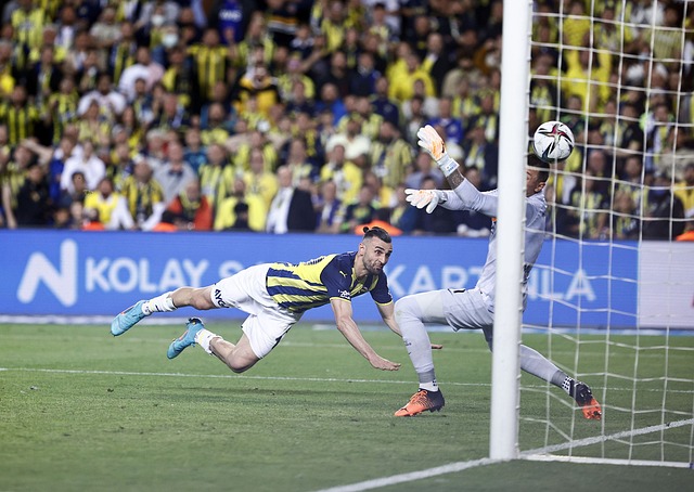 并提高自身 并提高自身