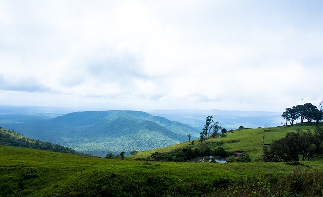 来田径各项 来田径各项