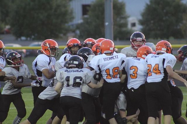 着无数优秀 着无数优秀