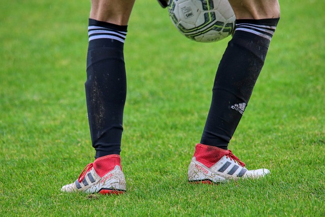 當我們觀看 當我們觀看