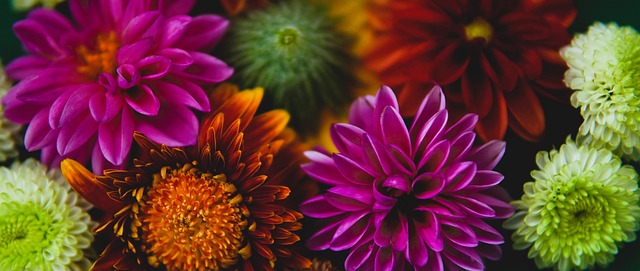 开了一次次 开了一次次