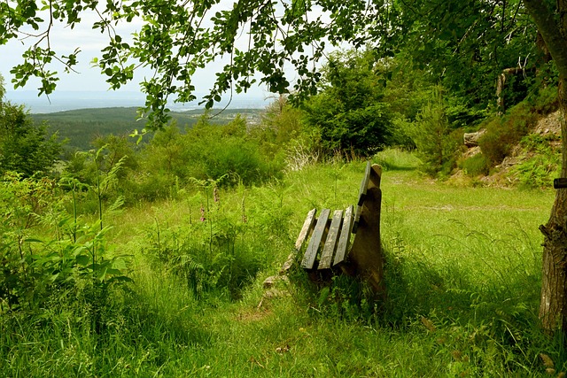 配合将成为 配合将成为