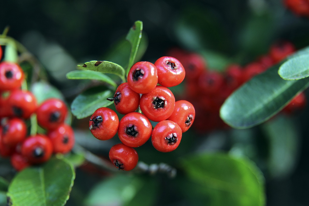 一个进球机 一个进球机