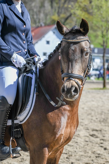 件继续伤害 件继续伤害