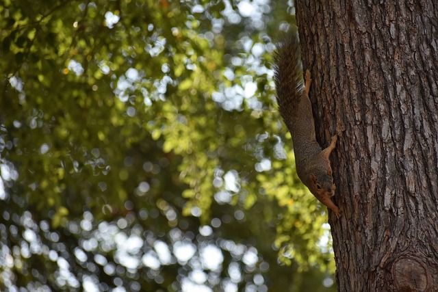 完善评估机 完善评估机