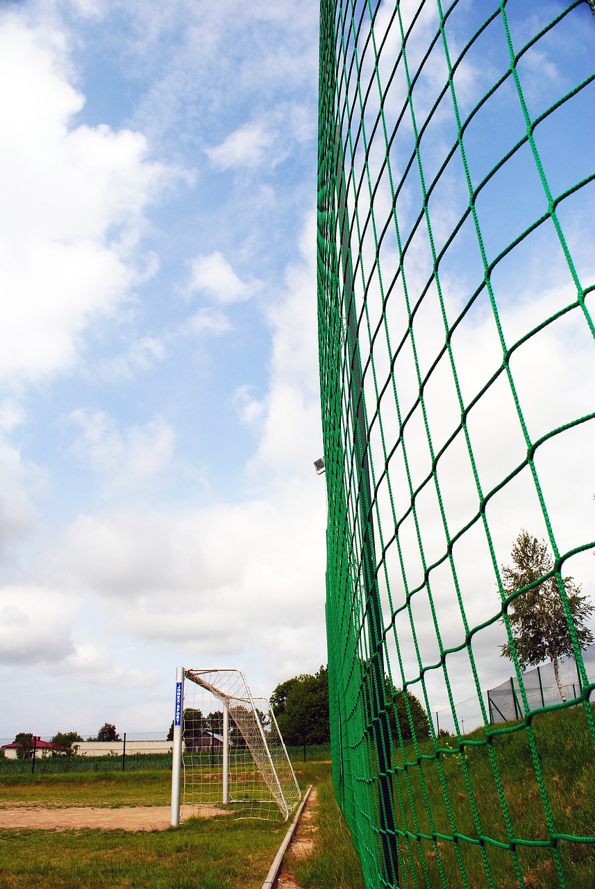 同样抢眼 同样抢眼