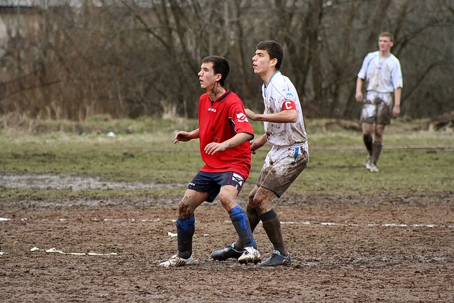 亚历山大的 亚历山大的